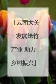 云南大关：发展筇竹产业 助力乡村振兴