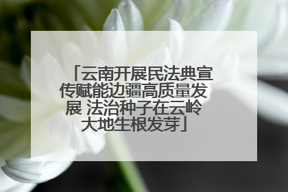 云南开展民法典宣传赋能边疆高质量发展 法治种子在云岭大地生根发芽