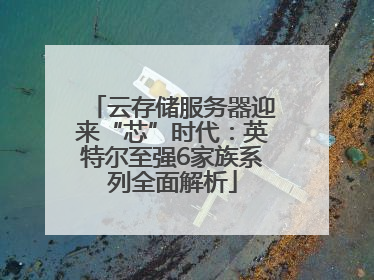 云存储服务器迎来“芯”时代：英特尔至强6家族系列全面解析