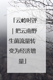 云岭时评｜把云南野生菌流量转变为经济增量