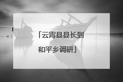 云霄县县长到和平乡调研