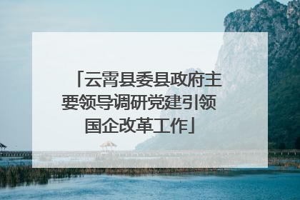云霄县委县政府主要领导调研党建引领国企改革工作