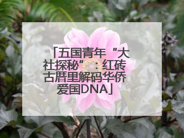 五国青年“大社探秘”：红砖古厝里解码华侨爱国DNA