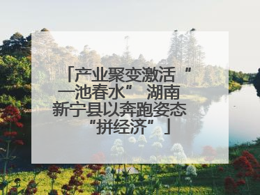 产业聚变激活“一池春水” 湖南新宁县以奔跑姿态“拼经济”