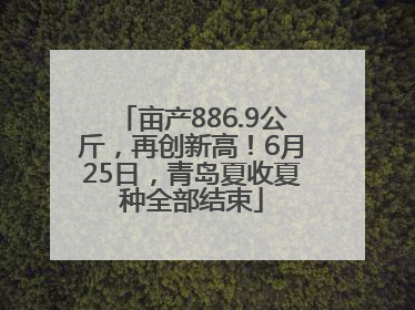亩产886.9公斤，再创新高！6月25日，青岛夏收夏种全部结束