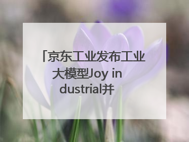 京东工业发布工业大模型Joy industrial并启动上海“链动众城 万亿降本”计划