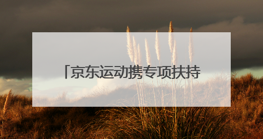 京东运动携专项扶持计划亮相中国体博会 0门槛入驻等多举措助力中小品牌成长