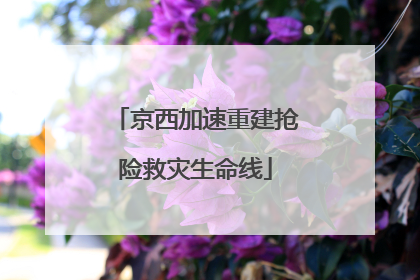 京西加速重建抢险救灾生命线