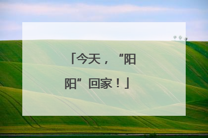 今天，“阳阳”回家！