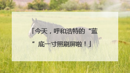 今天，呼和浩特的“蓝”底一寸照刷屏啦！