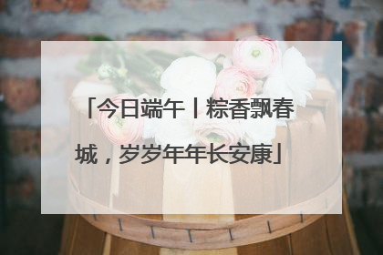 今日端午丨粽香飘春城，岁岁年年长安康