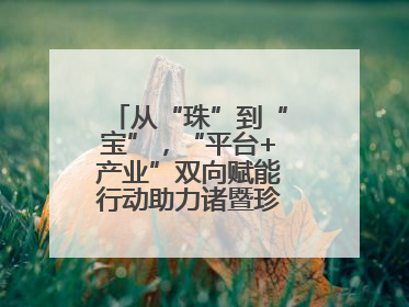 从“珠”到“宝”，“平台+产业”双向赋能行动助力诸暨珍珠升级蜕变
