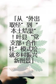 从“外出取经”到“本土结果”！叶县“党支部+合作社”模式绘就乡村振兴新图景