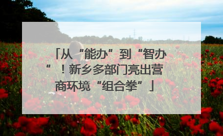 从“能办”到“智办”！新乡多部门亮出营商环境“组合拳”