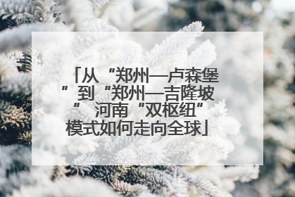 从“郑州—卢森堡”到“郑州—吉隆坡” 河南“双枢纽”模式如何走向全球