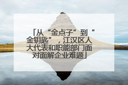 从“金点子”到“金钥匙”，江汉区人大代表和职能部门面对面解企业难题