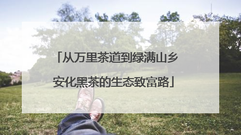 从万里茶道到绿满山乡 安化黑茶的生态致富路