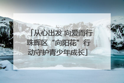 从心出发 向爱而行 珠晖区“向阳花”行动守护青少年成长