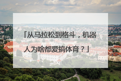 从马拉松到格斗，机器人为啥都爱搞体育？