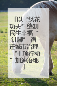 以“绣花功夫”缝制民生幸福“针脚” 宿迁城市治理“十项行动”加速落地