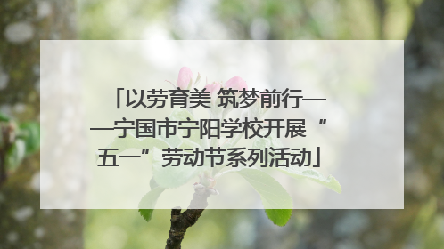 以劳育美 筑梦前行——宁国市宁阳学校开展“五一”劳动节系列活动