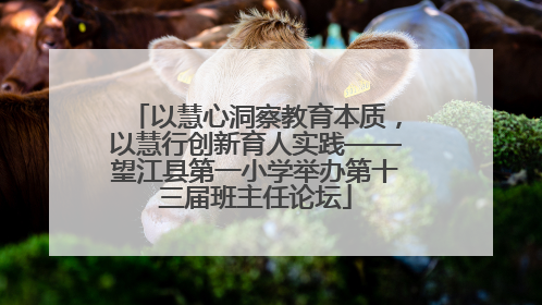 以慧心洞察教育本质，以慧行创新育人实践——望江县第一小学举办第十三届班主任论坛