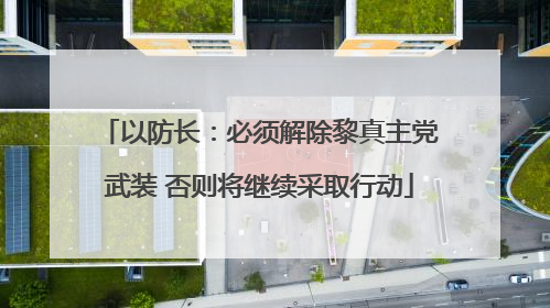 以防长：必须解除黎真主党武装 否则将继续采取行动