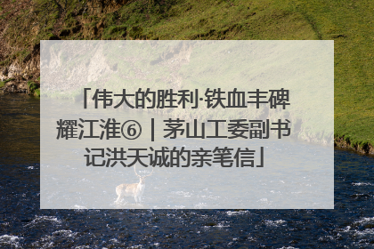 伟大的胜利·铁血丰碑耀江淮⑥｜茅山工委副书记洪天诚的亲笔信