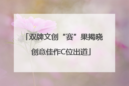 双牌文创“赛”果揭晓 创意佳作C位出道