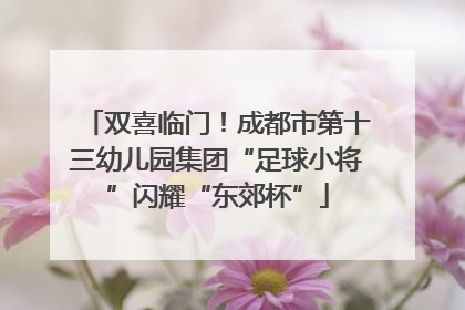 双喜临门！成都市第十三幼儿园集团“足球小将”闪耀“东郊杯”