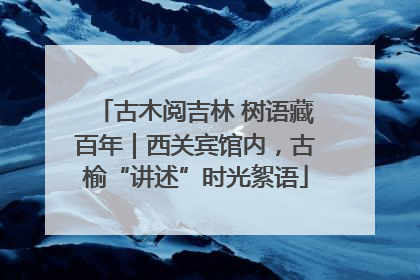 古木阅吉林 树语藏百年｜西关宾馆内，古榆“讲述”时光絮语