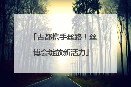 古都携手丝路！丝博会绽放新活力