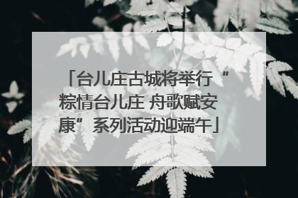台儿庄古城将举行“粽情台儿庄 舟歌赋安康”系列活动迎端午