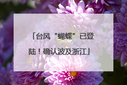 台风“蝴蝶”已登陆！确认波及浙江