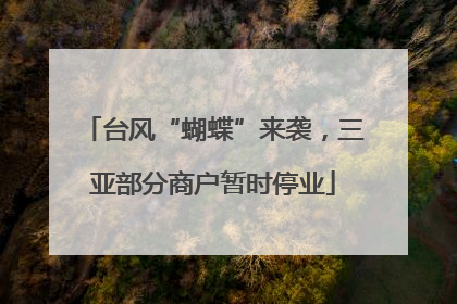 台风“蝴蝶”来袭，三亚部分商户暂时停业