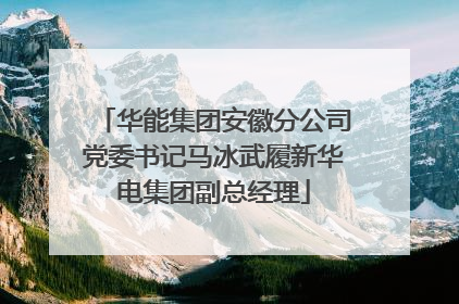 华能集团安徽分公司党委书记马冰武履新华电集团副总经理