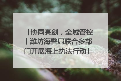 协同亮剑，全域管控丨潍坊海警局联合多部门开展海上执法行动