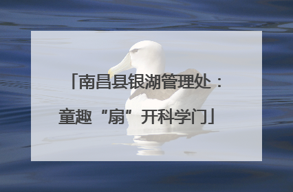 南昌县银湖管理处：童趣“扇”开科学门