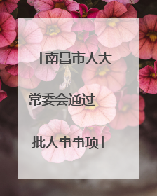 南昌市人大常委会通过一批人事事项