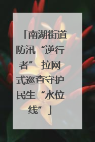 南湖街道防汛“逆行者” 拉网式巡查守护民生“水位线”