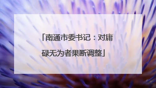 南通市委书记：对庸碌无为者果断调整