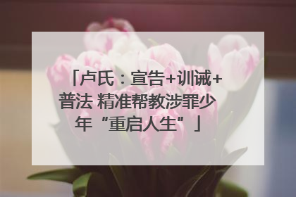 卢氏：宣告+训诫+普法 精准帮教涉罪少年“重启人生”