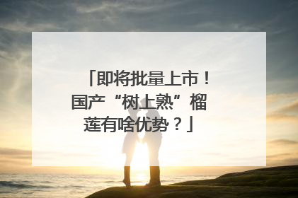 即将批量上市！国产“树上熟”榴莲有啥优势？