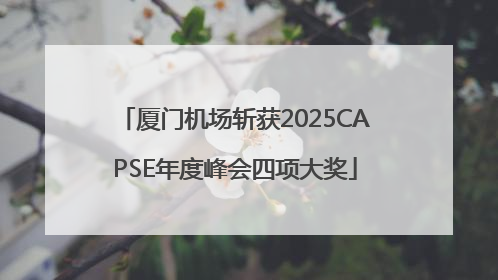厦门机场斩获2025CAPSE年度峰会四项大奖