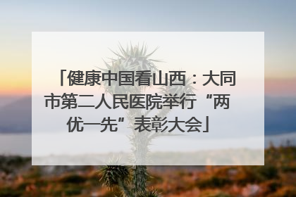 健康中国看山西：大同市第二人民医院举行“两优一先”表彰大会