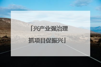 兴产业强治理 抓项目促振兴