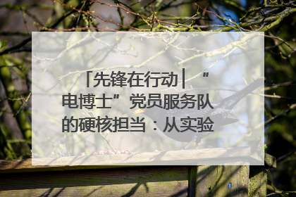 先锋在行动 ▏“电博士”党员服务队的硬核担当：从实验室到抗洪一线