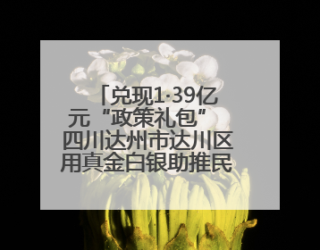 兑现1·39亿元“政策礼包” 四川达州市达川区用真金白银助推民企发展