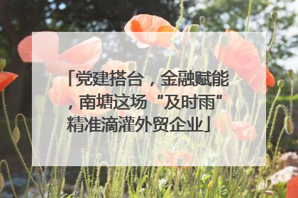 党建搭台，金融赋能，南塘这场“及时雨”精准滴灌外贸企业