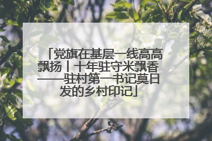党旗在基层一线高高飘扬丨十年驻守米飘香——驻村第一书记莫日发的乡村印记